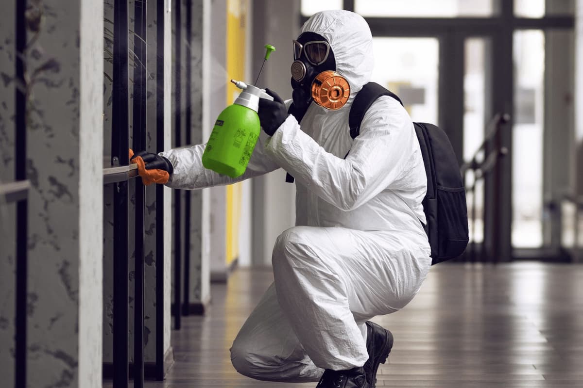 mold removal in Austin TX